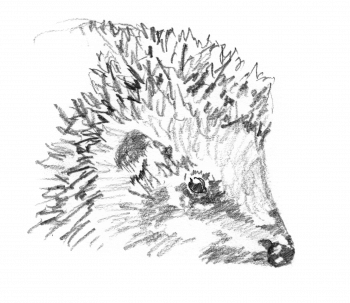 La nature a rendez-vous dans le verger