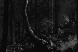 L'ours, si difficile à photographier, dans la féérique forêt des Balkans. / © Jacques Ioset