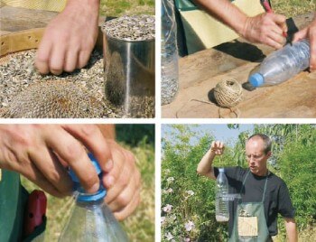 Mangeoire express : une bouteille en pet et quelques graines de tournesol, le tour est joué ! Un tournesol planté dans son jardin pour nourrir les oiseaux