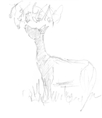 « Meteo calme, pas de vent, le chevreuil mange feuilles et ramilles. » / © Yves Fagniart