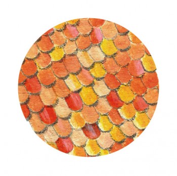 Naissance d'une vanesse, le papillon belle-dame