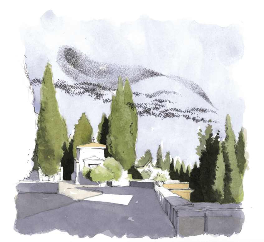 Nuées d’étourneaux ondulant au-dessus du cimetière. Les cités du pèlerin