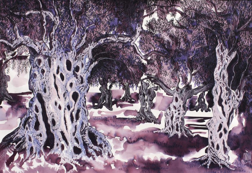 Olivier, arbre de paix et immortel