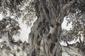 Olivier en noir et blanc sous les pastels de Pascaline Bossu / © Pascaline Bossu