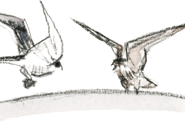 © Tsunéhiko Kuwabara