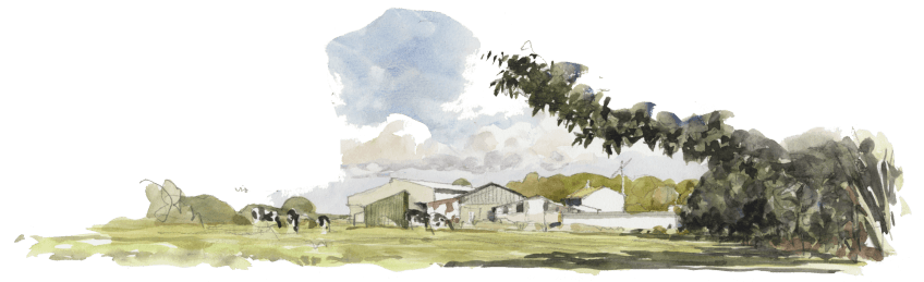 Foison de vie dans les bouses de vaches