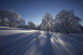 Pâturage couvert de poudreuse dans le Doubs. / © Fabien Gréban