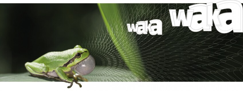 Les instruments à vent des animaux