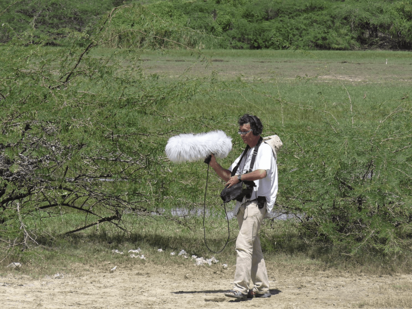 Bioacoustique et sons de la nature