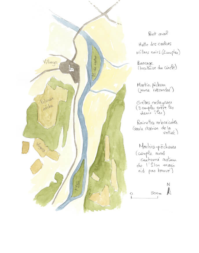 Terrain d'investigation pour suivre le martin-pêcheur dans son quotidien A la recherche du martin-pêcheur sur la Loue dans le Jura