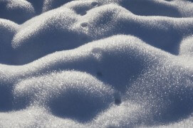 Traces de renard / © Fabien Gréban