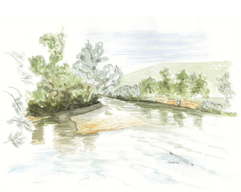 Les meilleures rivières pour le martin-pêcheur sont celles qui vivent leur vie. Autrement dit qui serpentent librement, rognent les berges ici, déposent des alluvions là. L’oiseau bleu déteste plus que tout les enrochements, sans arbres perchoirs ni terre sablonneuse à creuser. Pour pêcher, il adore les eaux peu profondes. Enfin, pour l’épanouissement de ses poissons préférés, la rivière doit être bien oxygénée. A la recherche du martin-pêcheur sur la Loue dans le Jura