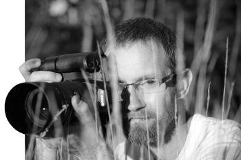 Sébastien Lamadon