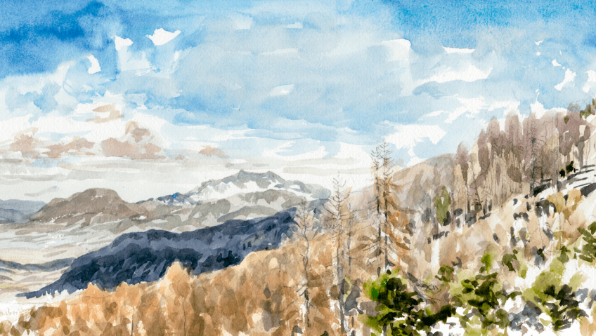 L'aigle aux frontières de son royaume