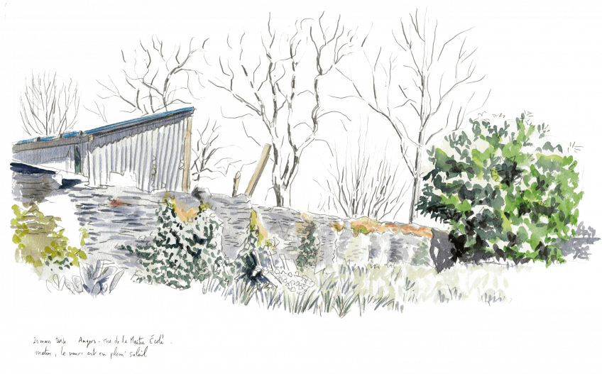 Le réveil du vieux mur