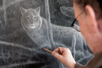 22 février 2007 - « Deux jours de suite, le lynx avait déposé ses poils sur le tas de bois. Alors, je me suis caché derrière une toile d'affût tout près de là. Ce soir, il n'y avait qu'un étroit quartier de lune à travers les nuages. Au moment où j'allais partir, je distingue une forme sur le chemin: le lynx aux yeux noirs cerclés de blanc. La bête de la nuit et du mystère. » 22 février 2007 - « Deux jours de suite, le lynx avait déposé ses poils sur le tas de bois. Alors, je me suis caché derrière une toile d'affût tout près de là. Ce soir, il n'y avait qu'un étroit quartier de lune à travers les nuages. Au moment où j'allais partir, je distingue une forme sur le chemin: le lynx aux yeux noirs cerclés de blanc. La bête de la nuit et du mystère. »