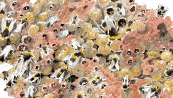 Des bourdons s'activent dans leur palais de cire et de nectar. Des bourdons s'activent dans leur palais de cire et de nectar.