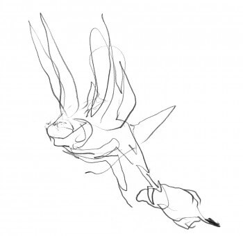 L'envol de l'aigle héritier