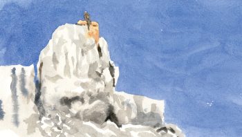 Aigle sur une corniche rocheuse Aigle sur une corniche rocheuse