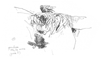 Aigles en train de bâtir leur nid / © Denis Clavreul