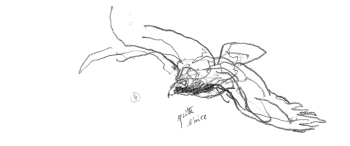 Aigles en train de bâtir leur nid / © Denis Clavreul