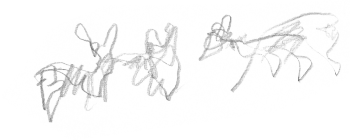 Après avoir repéré sa proie, un chevreuil, le lynx s'en rapproche tout doucement, sans un bruit. / © Jacques Rime