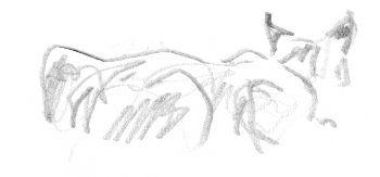 Après avoir repéré sa proie, un chevreuil, le lynx s'en rapproche tout doucement, sans un bruit. / © Jacques Rime