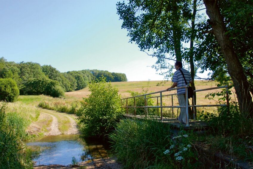 Au-dessus de la Grenne Parmi les trognes du bocage de Sargé-sur-Braye