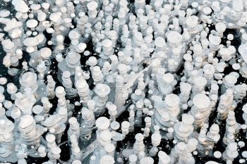 Bulles de méthane. Lac des Rousses (Haut-Jura), 23 décembre 2007, 16h05.