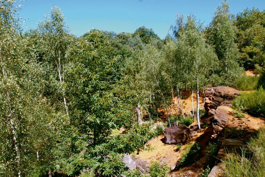 Carrière de la Mutte Parmi les trognes du bocage de Sargé-sur-Braye