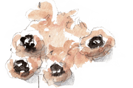 « Cocons avec liquide (provisions). » / © Benoît Perrotin