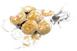 « Cocons fermés avec larves. » / © Benoît Perrotin