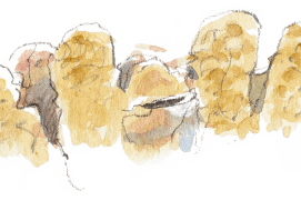 « Cocons vus de profil. » / © Benoît Perrotin