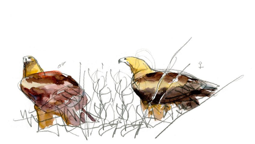 Noces royales sur la corniche des aigles