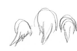 Croquis d'une loutre suivie par ses deux loutrons / © Jean Chevallier