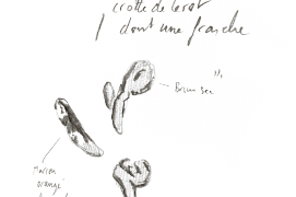« Crottes de lérot dont une fraîche. » / © Olivier Loir