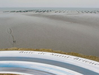 Culture de moules de bouchot	 / © Aino Adriaens