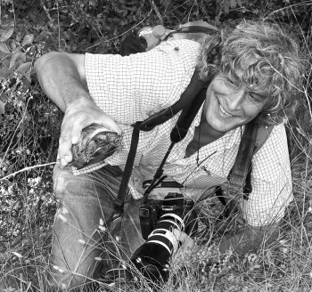Daniel Aubort