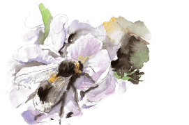 « Dans la glycine. La Roche de Saint-Marc. Chantonnay. Avril 2014 » / © Benoît Perrotin