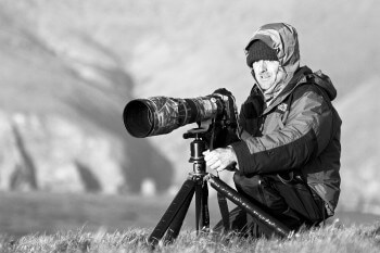 David Allemand Le circaète aigle aux yeux d'ambre