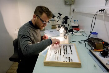 Le scientifique Denis Michez effectue des recherches sur les abeilles. / © Jessica Champeaux