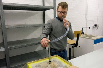 Le scientifique Denis Michez effectue des recherches sur les abeilles. / © Jessica Champeaux