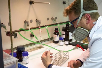 Le scientifique Denis Michez effectue des recherches sur les abeilles. / © Jessica Champeaux