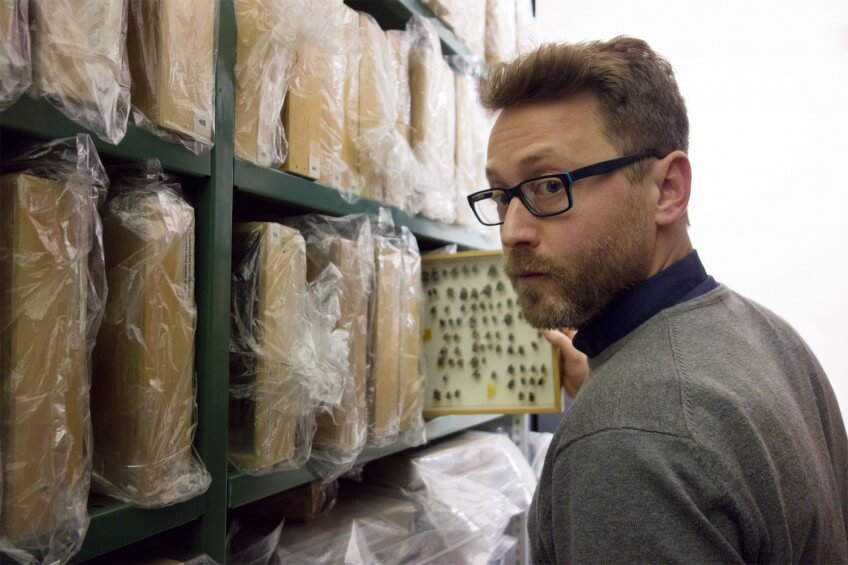 Demain, fini les bourdons ?