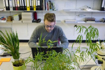 Le scientifique Denis Michez effectue des recherches sur les abeilles. / © Jessica Champeaux