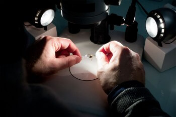 Le scientifique Denis Michez effectue des recherches sur les abeilles. / © Jessica Champeaux