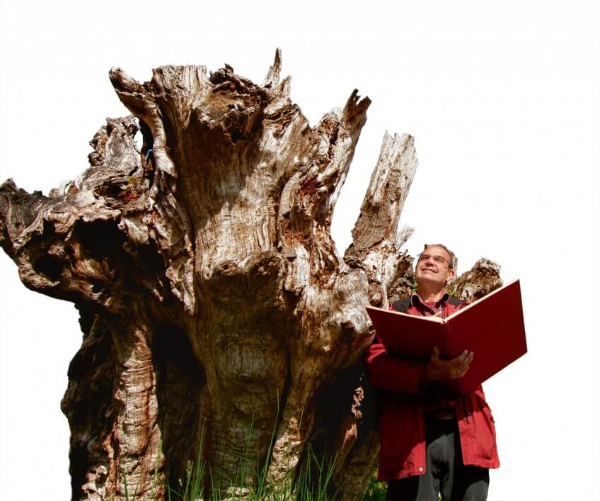 Dominique Mansion Parmi les trognes du bocage de Sargé-sur-Braye