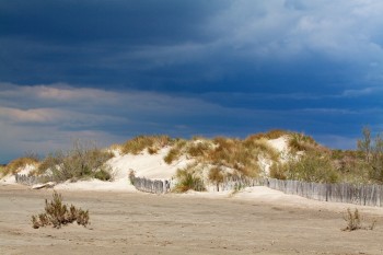 Dunes littorales et ganivelles Balade en Camargue dans le vent et les pieds dans l'eau