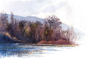 En plein cœur de l'hiver, le gui décore la forêt riveraine. En plein cœur de l'hiver, le gui décore la forêt riveraine.