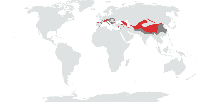 En rouge: aire de nidification du tichodrome échelette. En gris foncé: aire d'hivernage